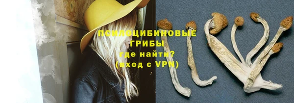 эйфоретик Нязепетровск