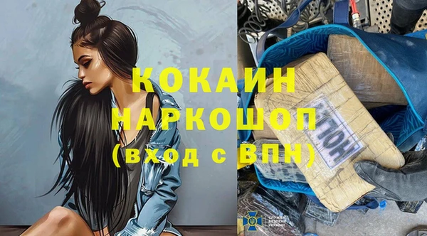 ешки Няндома