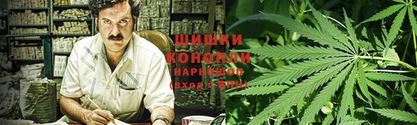 ПСИЛОЦИБИНОВЫЕ ГРИБЫ Остров