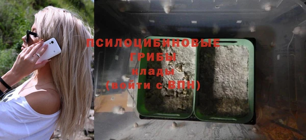 эйфоретик Нязепетровск