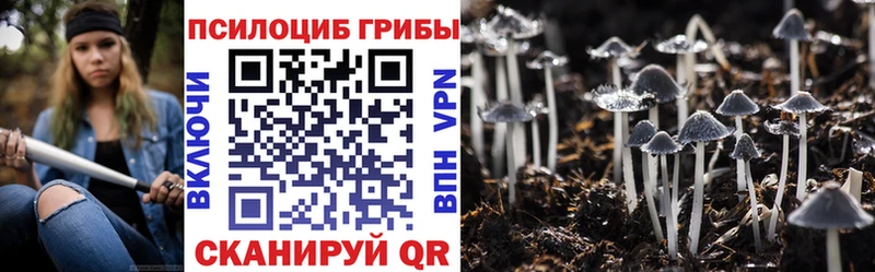 Галлюциногенные грибы Magic Shrooms Киржач