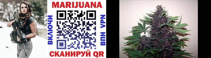 Каннабис SATIVA & INDICA Киржач